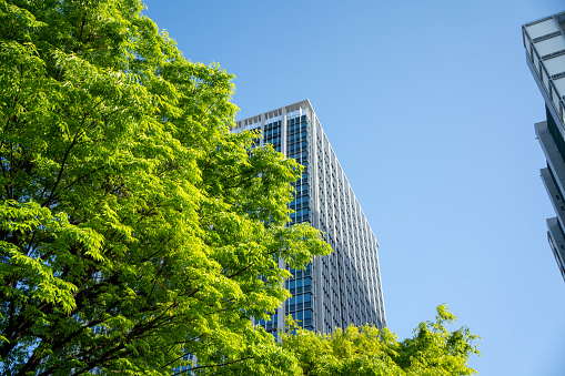 建筑能耗节约率和建筑节能率意思是一样的吗?(图1) Sponsored image (4).jpg